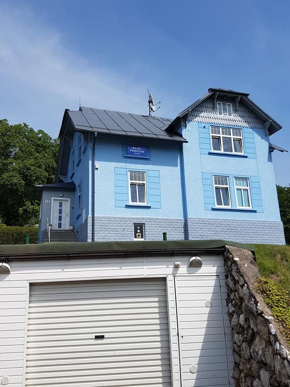 Blue Pension Svoboda nad Úpou Exterior foto