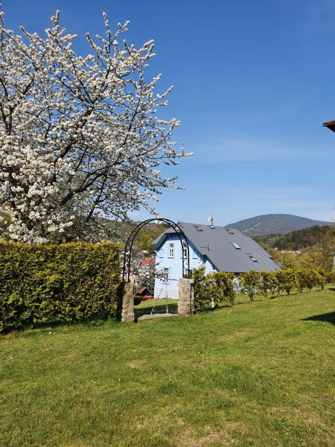 Blue Pension Svoboda nad Úpou Exterior foto