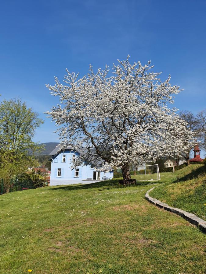 Blue Pension Svoboda nad Úpou Exterior foto